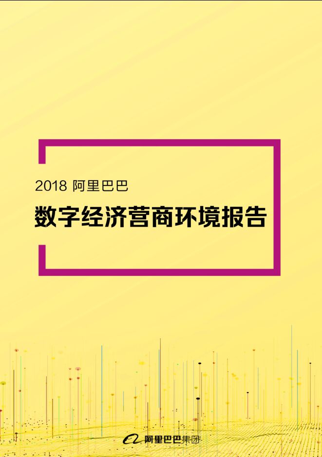 数字经济营商环境报告-阿里巴巴-201905.pdf