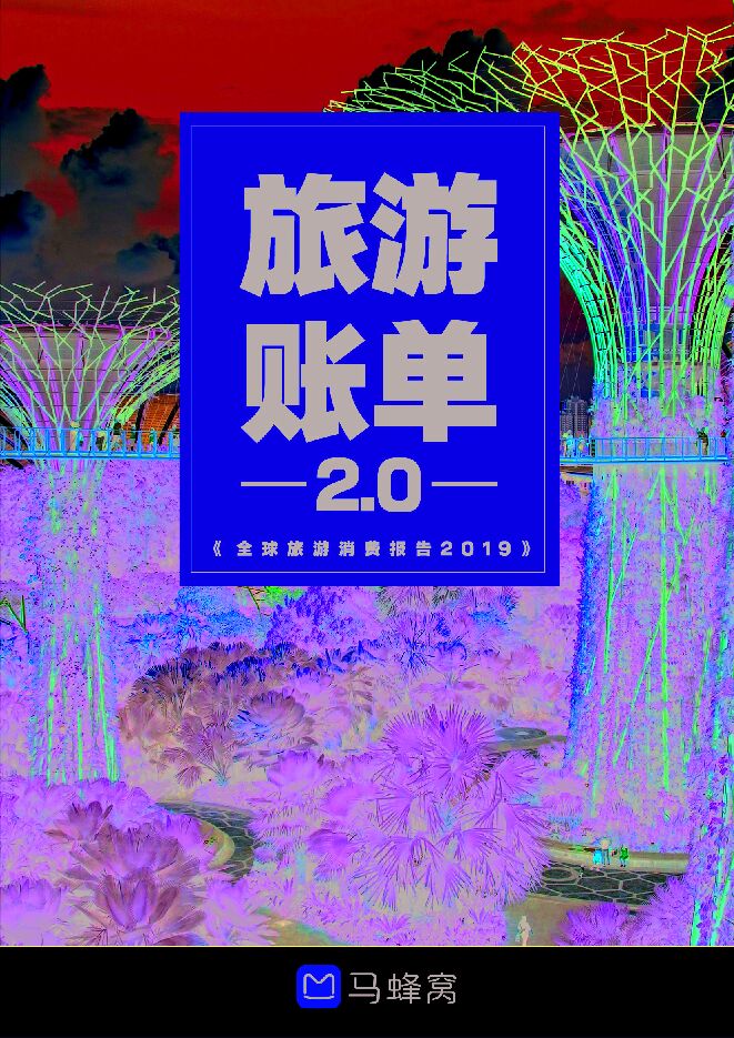 旅游消费2.0—全球旅游消费报告2019-马蜂窝-201908.pdf 旅游消费2.0—全球旅游消费报告2019-马蜂窝-201908.pdf