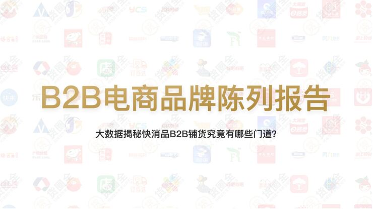 B2B电商品牌陈列报告-货圈全-201908.pdf B2B电商品牌陈列报告-货圈全-201908.pdf