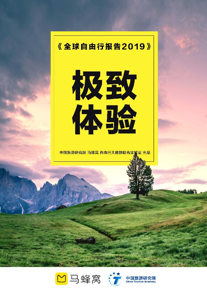 全球自由行报告2019 -马蜂窝-202002.pdf 全球自由行报告2019 -马蜂窝-202002.pdf