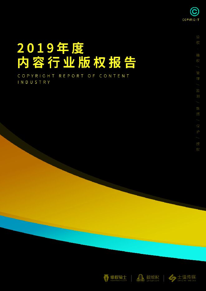 2019年度内容行业版权报告-维权骑士-202003.pdf