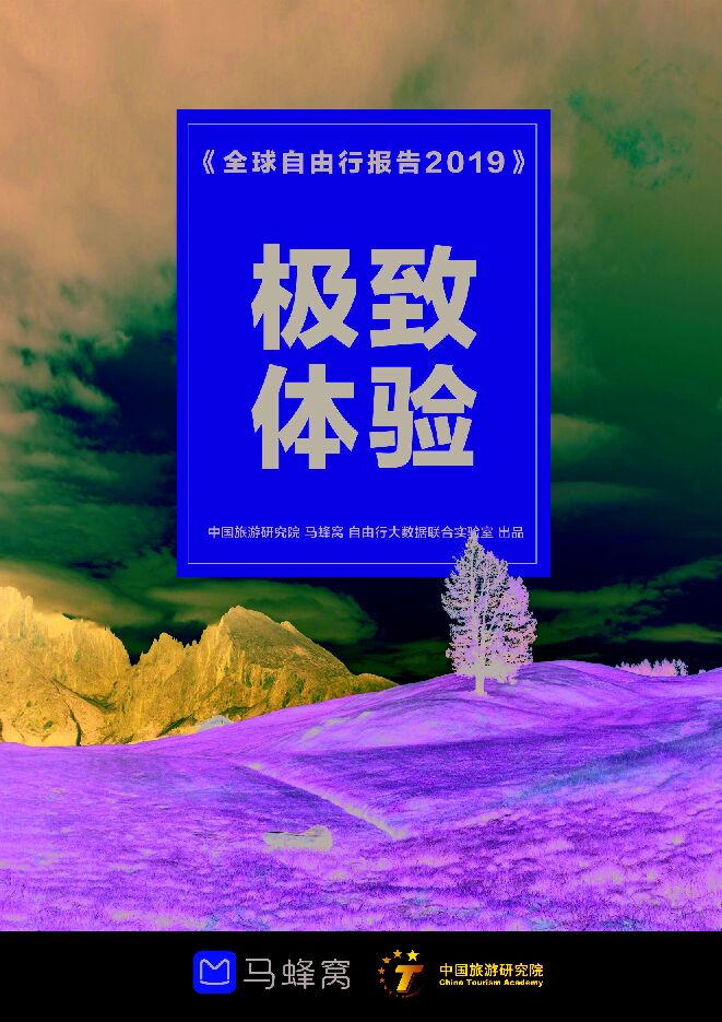 马蜂窝全球自由行报告2019.pdf 马蜂窝全球自由行报告2019.pdf