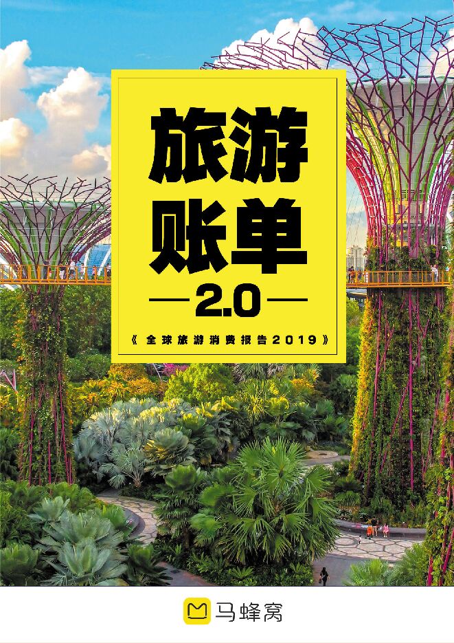 马蜂窝全球旅游消费报告2019.pdf 马蜂窝全球旅游消费报告2019.pdf