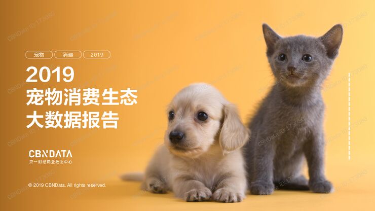 2019宠物消费生态大数据报告201907.pdf 2019宠物消费生态大数据报告201907.pdf