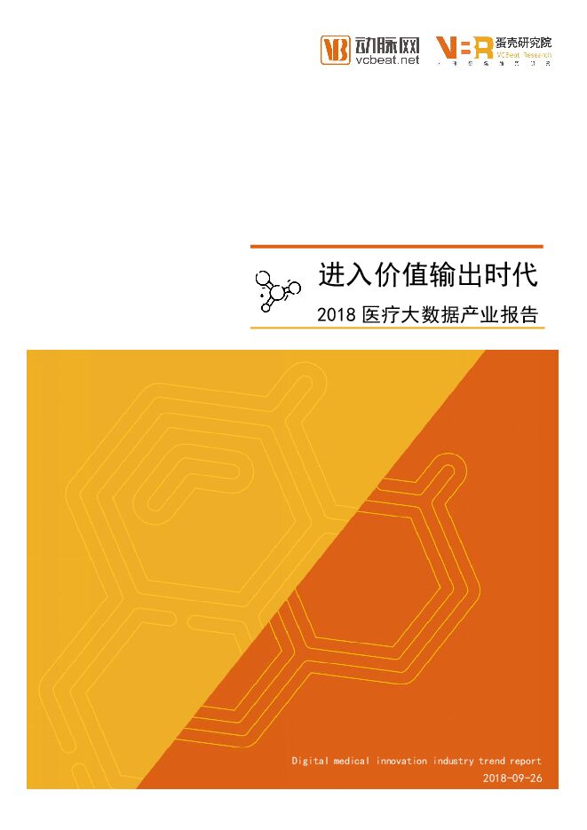2018 进入价值输出时代——医疗大数据产业报告.pdf 2018 进入价值输出时代——医疗大数据产业报告.pdf