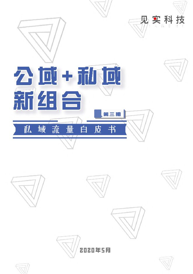 公域+私域新组合白皮书-见实-202005.pdf 公域+私域新组合白皮书-见实-202005.pdf