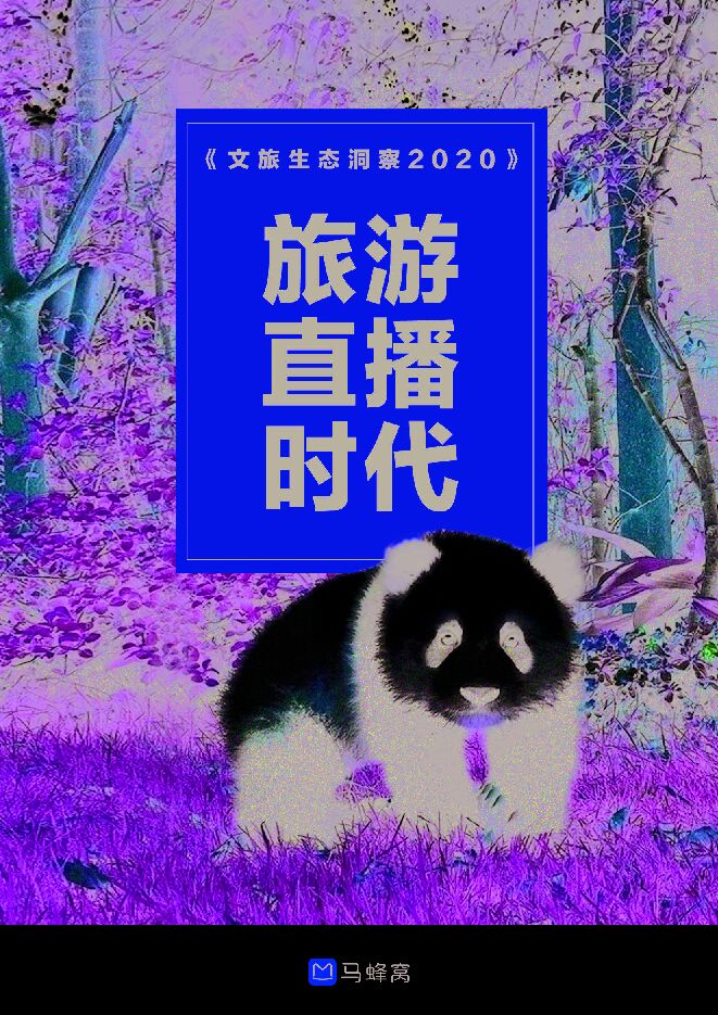 文旅生态洞察2020—旅游直播时代-马蜂窝-202005.pdf 文旅生态洞察2020—旅游直播时代-马蜂窝-202005.pdf