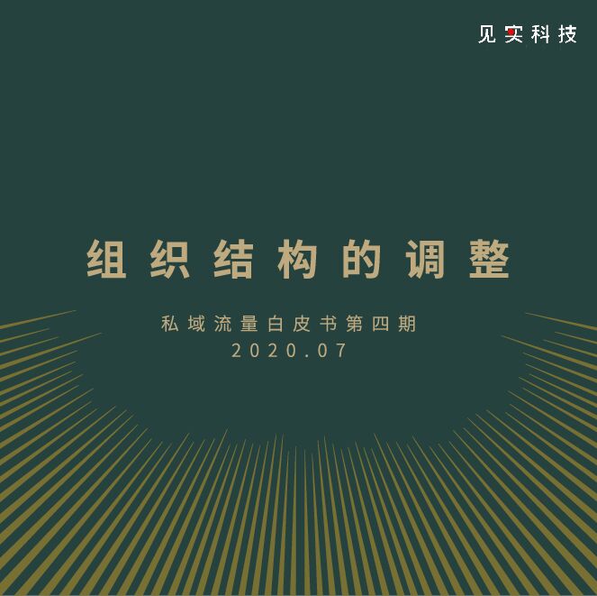 组织结构的调整-见实私域流量白皮书.pdf 组织结构的调整-见实私域流量白皮书.pdf