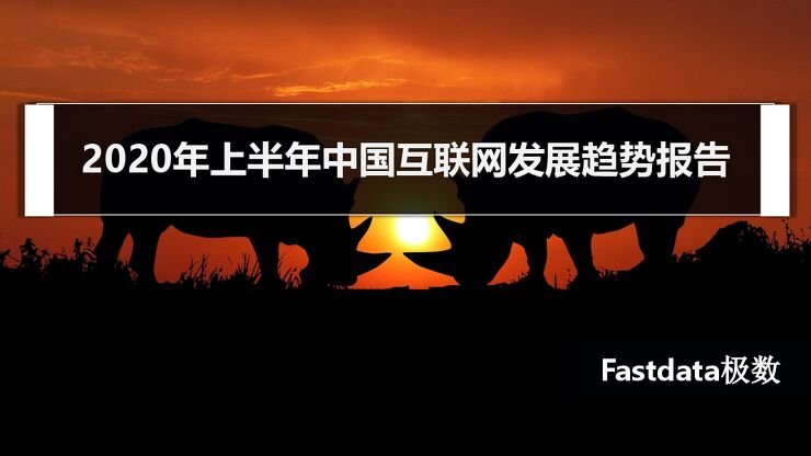 2020年上半年中国互联网发展趋势报告-Fastdata极数-202008.pdf