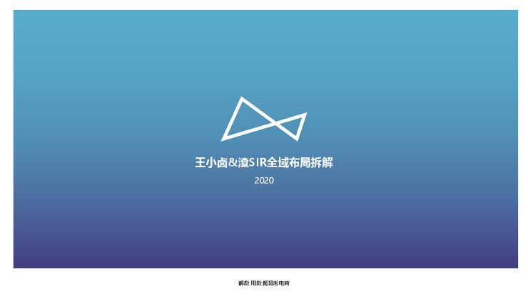 从王小卤、渣sir全域拆解看零食饮料细分机会-解数咨询x西瓜集-202008.pdf 从王小卤、渣sir全域拆解看零食饮料细分机会-解数咨询x西瓜集-202008.pdf
