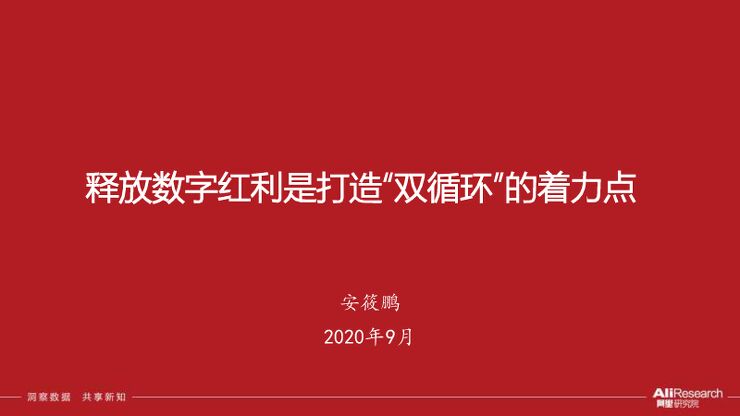 释放数字红利是打造“双循环”的着力点-阿里研究院-202009.pdf