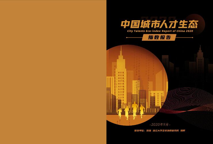 2020中国城市人才生态指数报告-微链-202009.pdf