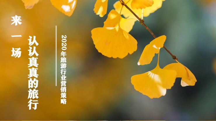 2020年旅游行业营销策略-360-202010.pdf