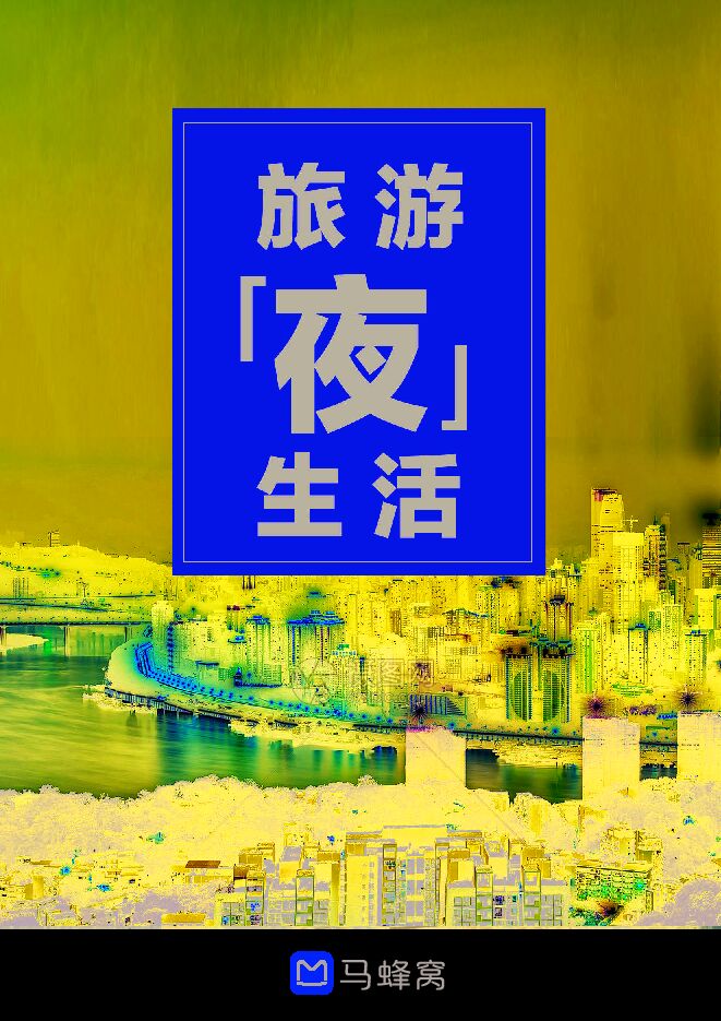 旅游“夜”生活-马蜂窝-202012.pdf 旅游“夜”生活-马蜂窝-202012.pdf