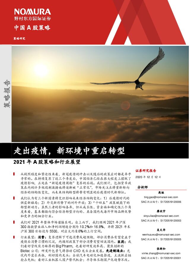 野村证券-2021年中国A股投资策略-走出疫情，新环境中重启转型.pdf