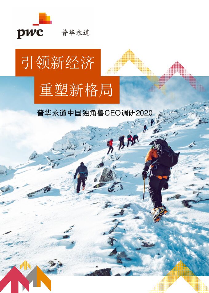 中国独角兽CEO调研2020-普华永道-202101.pdf 中国独角兽CEO调研2020-普华永道-202101.pdf
