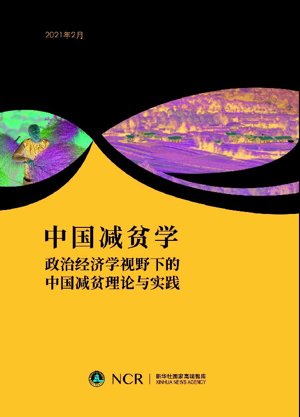 中国减贫学-新华社国家高端智库-202102.pdf 中国减贫学-新华社国家高端智库-202102.pdf