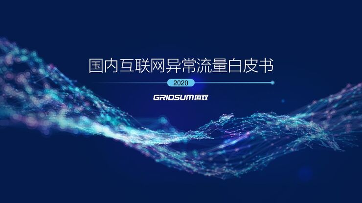 2020国内互联网异常流量白皮书-国双-202103.pdf 2020国内互联网异常流量白皮书-国双-202103.pdf