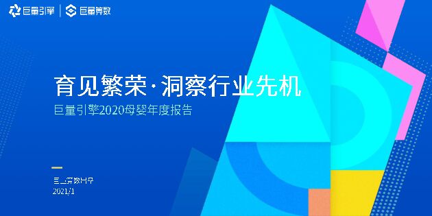2020母婴年度报告.pdf 2020母婴年度报告.pdf
