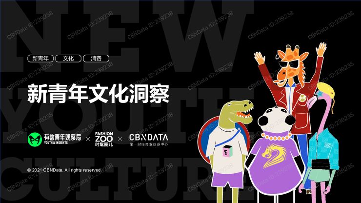 新青年文化洞察.pdf