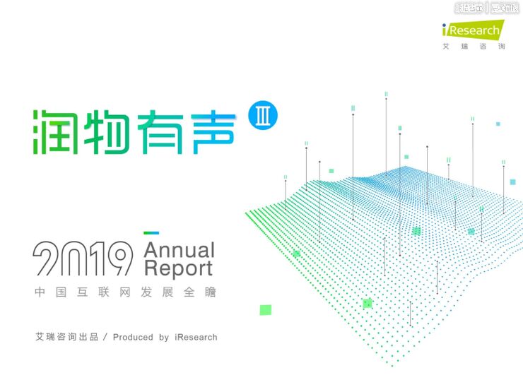 2019中国互联网发展全瞻.pdf 2019中国互联网发展全瞻.pdf