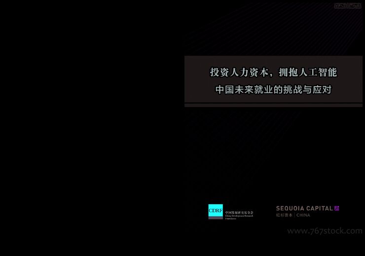 红杉人工智能研究-中国未来就业的挑战与应对.pdf 红杉人工智能研究-中国未来就业的挑战与应对.pdf
