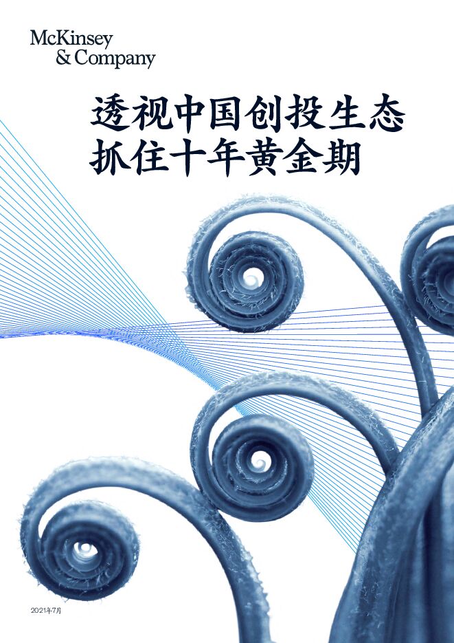 透视中国创投生态抓住十年黄金期(2021)-麦肯锡-202107.pdf