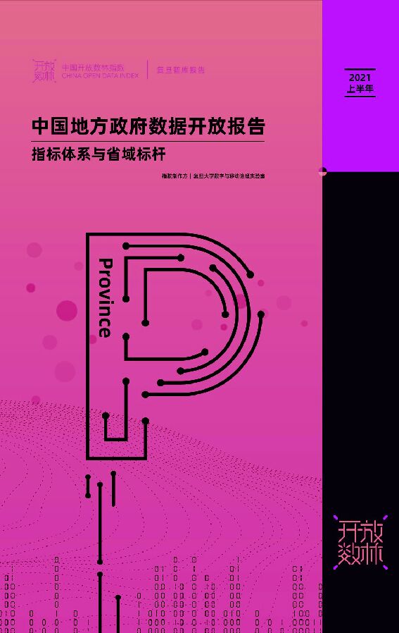 中国地方政府数据开放报告(指标体系与省域标杆)-复旦智库-202107.pdf 中国地方政府数据开放报告(指标体系与省域标杆)-复旦智库-202107.pdf