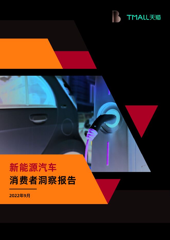新能源汽车消费者洞察报告-罗兰贝格x天猫-202209.pdf