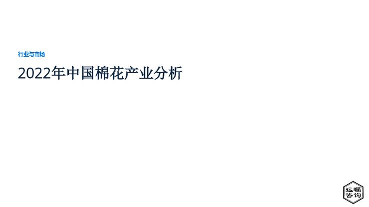 远瞩咨询:2022年中国棉花产业分析.pdf 远瞩咨询:2022年中国棉花产业分析.pdf