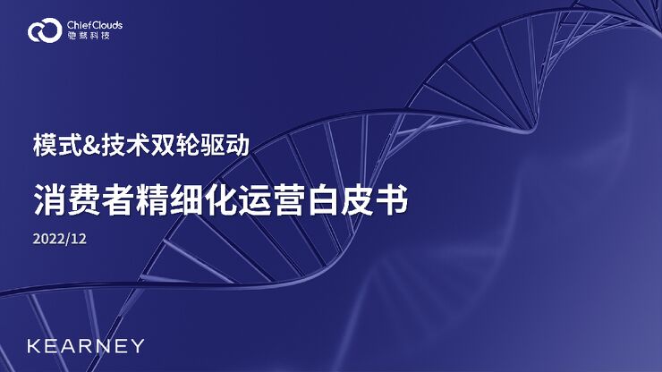 模式+技术双轮驱动：2022消费者精细化运营白皮书-科尔尼-202212.pdf