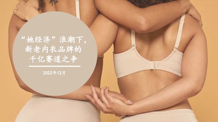 “她经济”浪潮下新老内衣品牌的千亿赛道之争.pdf “她经济”浪潮下新老内衣品牌的千亿赛道之争.pdf