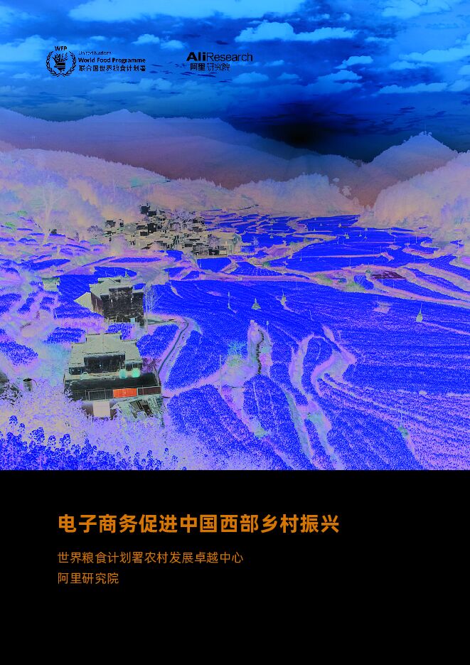 《2022年电子商务促进中国西部乡村振兴报告》.pdf 《2022年电子商务促进中国西部乡村振兴报告》.pdf