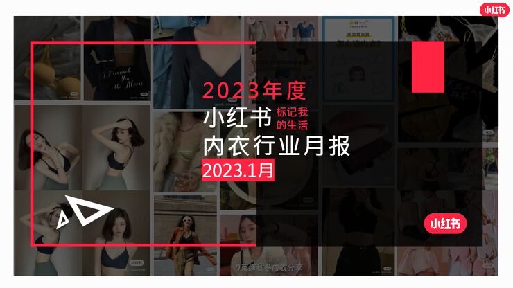 小红书：小红书内衣行业月报2023年1月.pdf