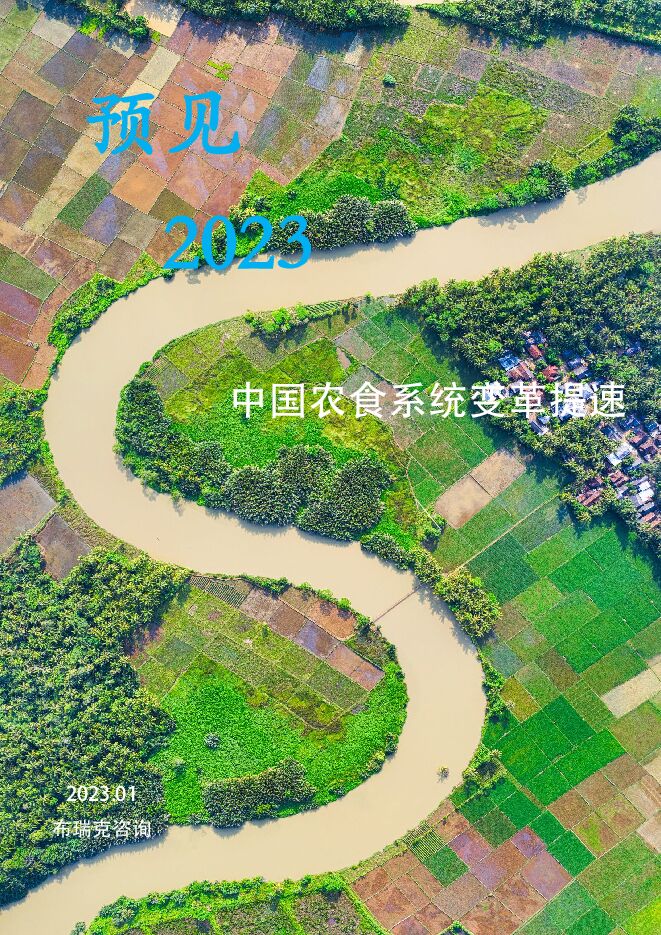 预见2023:中国农业趋势观察-布瑞克.pdf 预见2023:中国农业趋势观察-布瑞克.pdf
