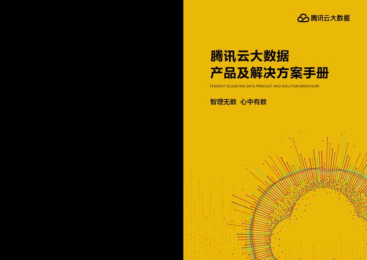 腾讯云大数据产品及解决方案.pdf 腾讯云大数据产品及解决方案.pdf
