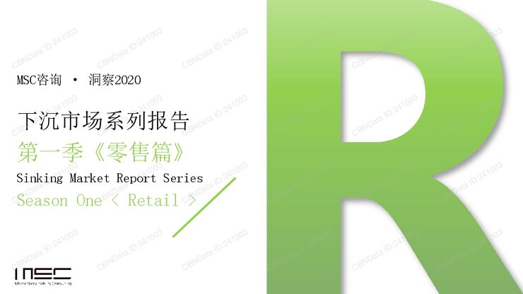 下沉市场系列报告第一季《零售篇》.pdf 下沉市场系列报告第一季《零售篇》.pdf