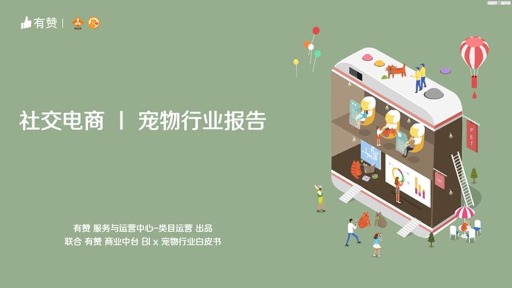 2020社交电商I宠物行业报告.pdf
