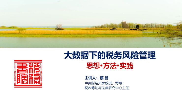 大数据下的税务风险管理.pdf 大数据下的税务风险管理.pdf