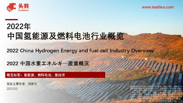 2022年中国氢能源及燃料电池行业概览.pdf