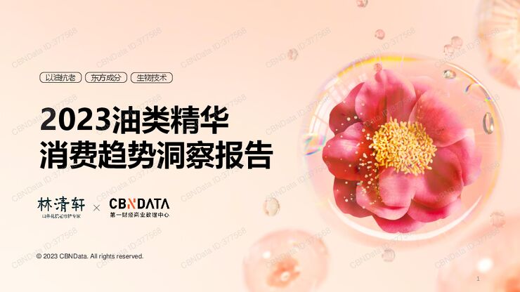 2023油类精华消费趋势洞察报告.pdf