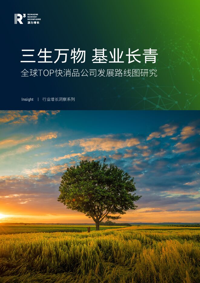 全球TOP快消品公司发展路线图研究-源力增长.pdf 全球TOP快消品公司发展路线图研究-源力增长.pdf