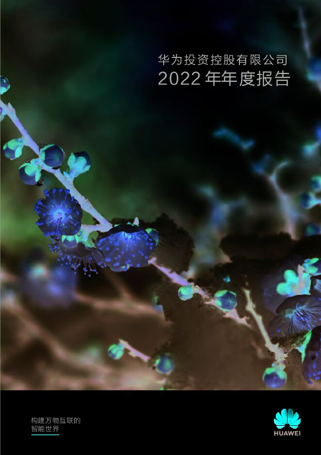 华为公司2022年年度报告.pdf 华为公司2022年年度报告.pdf