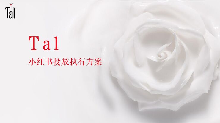 Tal小红书种草执行方案.pdf Tal小红书种草执行方案.pdf