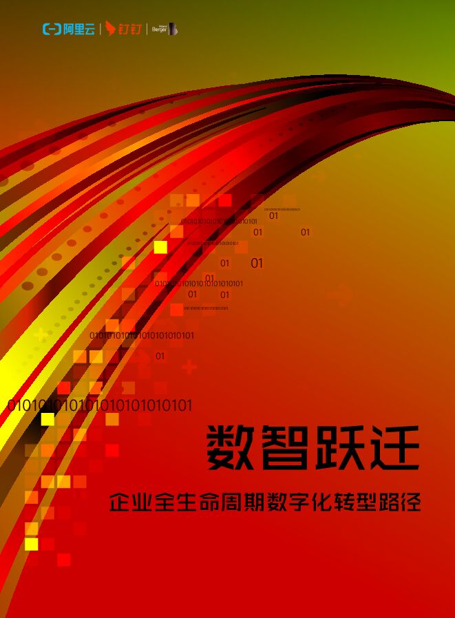 数智跃迁:企业全生命周期数字化转型路径_2023.pdf 数智跃迁:企业全生命周期数字化转型路径_2023.pdf