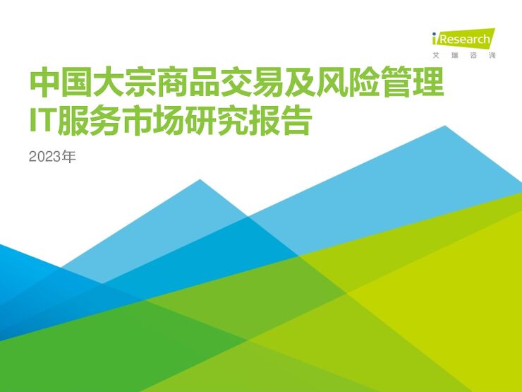 2023年中国大宗商品交易及风险管理IT服务市场研究报告.pdf