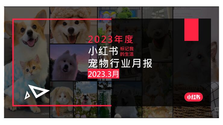 2023年3月小红书宠物行业月报-小红书-202304.pdf