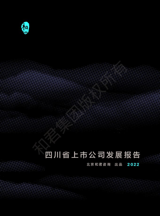 四川省上市公司发展报告.pdf 四川省上市公司发展报告.pdf