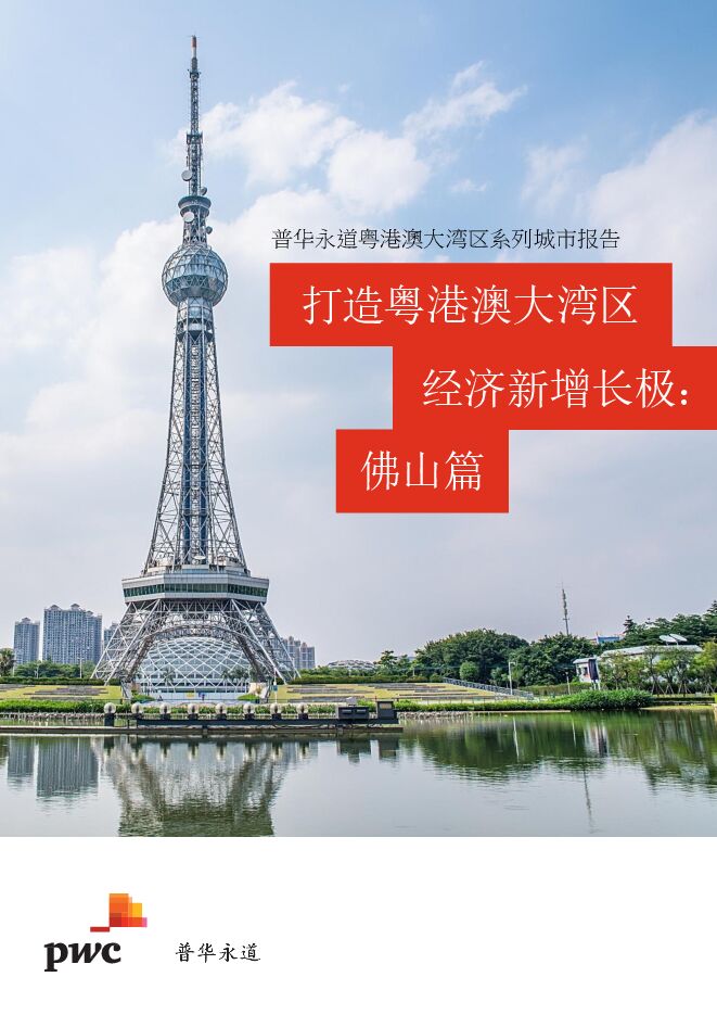 粤港澳大湾区城市报告系列—佛山.pdf