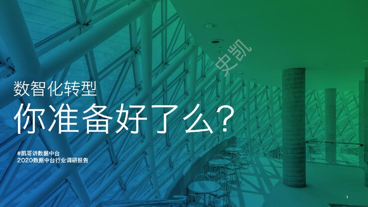 数据中台调研报告.pdf